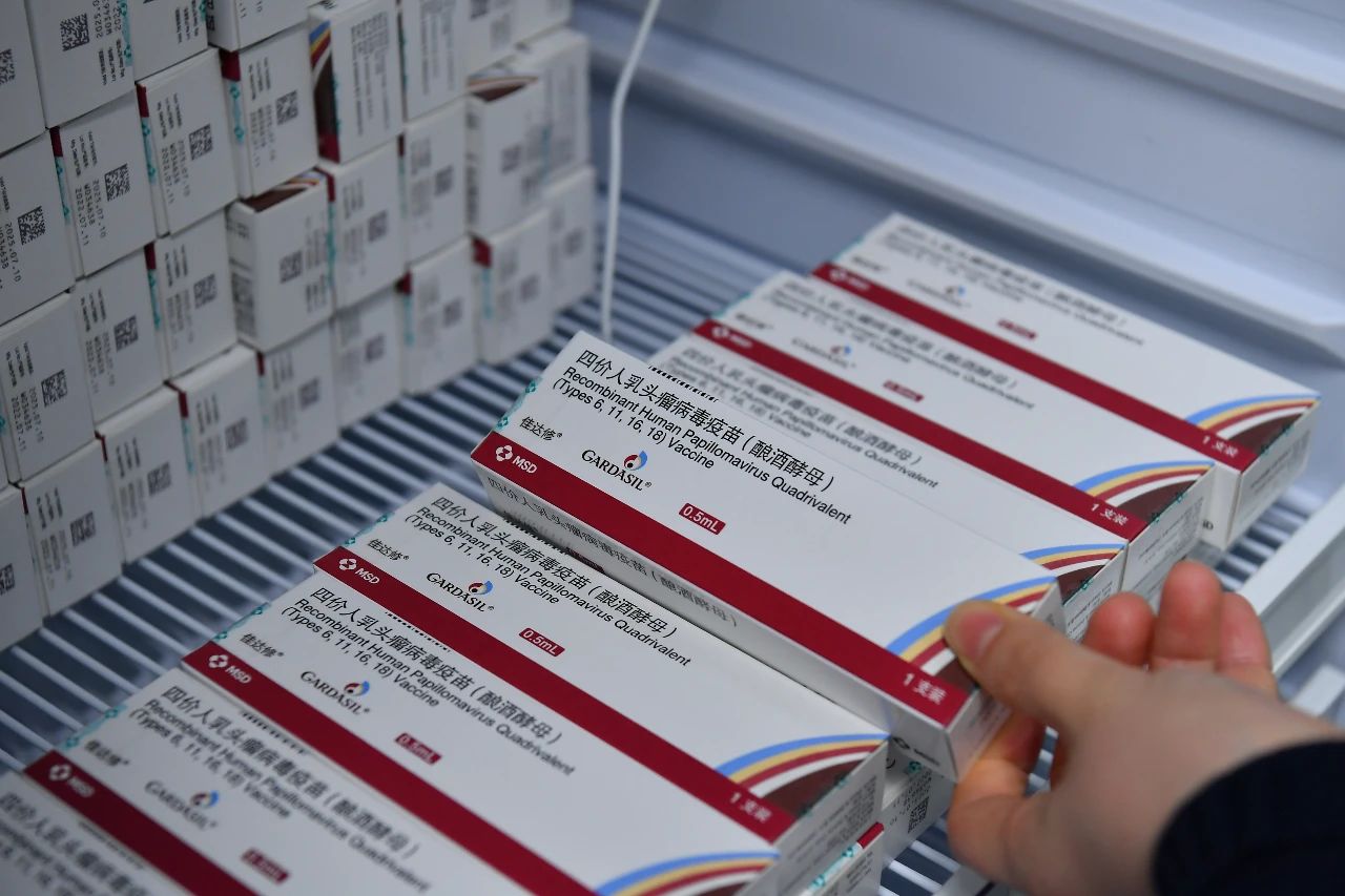 1739839784975 微信图片_20250218084859